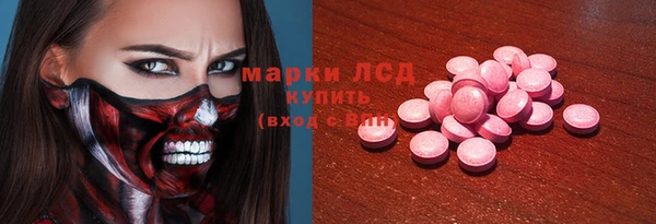 индика Аша