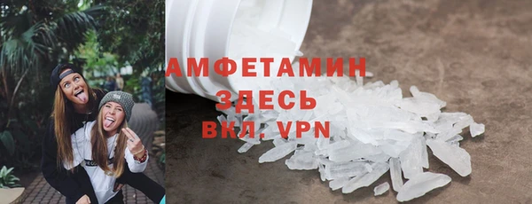 индика Аша
