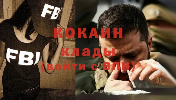 индика Аша