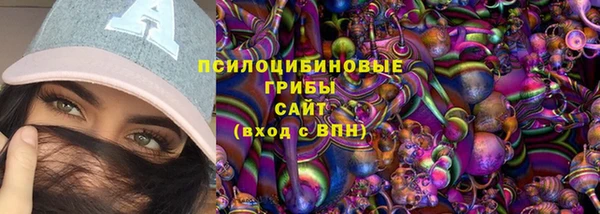 индика Аша