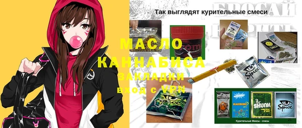 индика Аша
