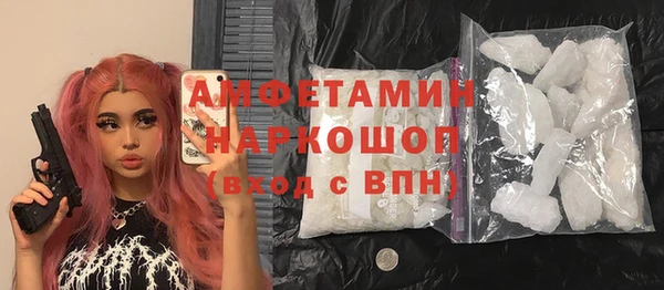индика Аша