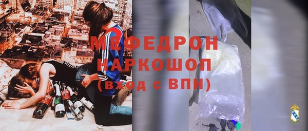 индика Аша