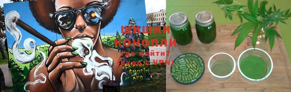 индика Аша