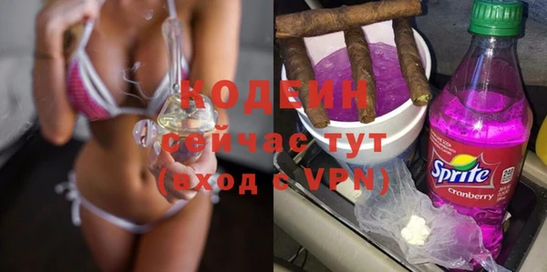 индика Аша