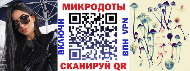 Галлюциногенные грибы Psilocybe  Заводоуковск 